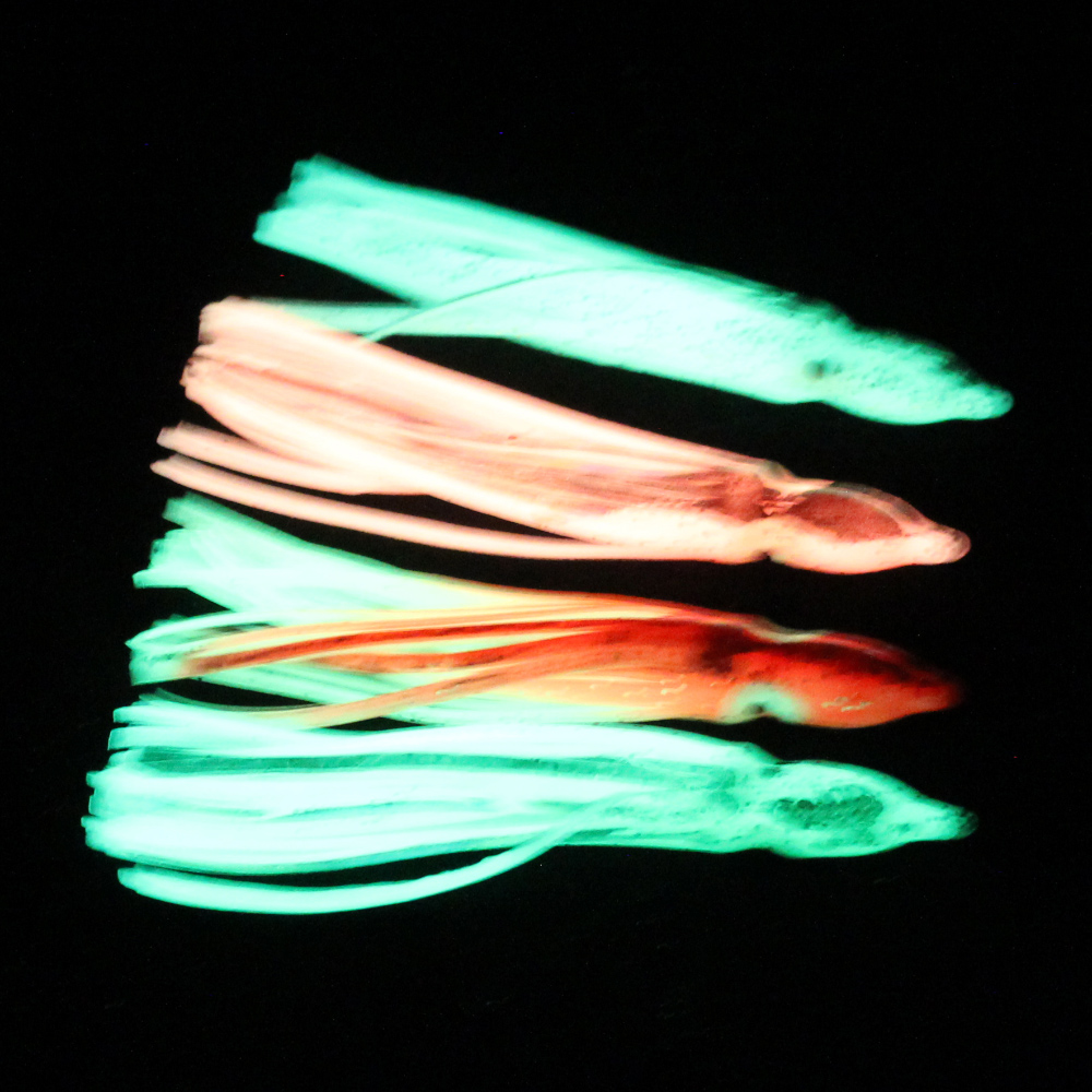 10 Adet Yumuşak Işıklı Ahtapot - Fishing Lure Buzzbait incelemesi ve fiyatı
